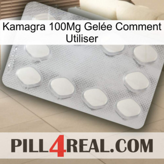 Kamagra 100Mg Gelée Comment Utiliser 16